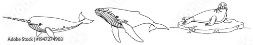 Arctic marine animals featuring narwhal humpback whale and seal in minimalist line art style
