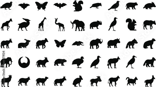 Animal silhouettes grid illustration, diverse wildlife collection vector art, mammals birds insects design, zoological concept, nature representation