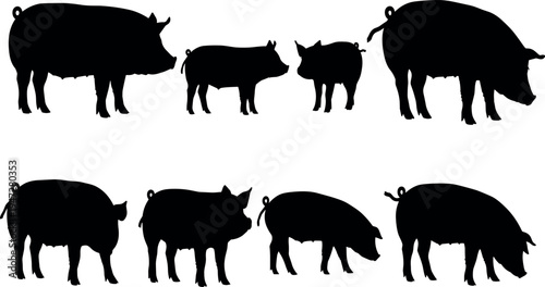  Black silhouette pigs in various poses, standing, grazing, walking, farm animals artwork, livestock figures, agricultural design, rural farming illustration