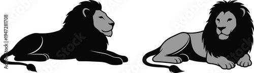 Two reclining lions facing each other, one black silhouette, one detailed illustration with mane and tail, suitable for design, symbolism, education