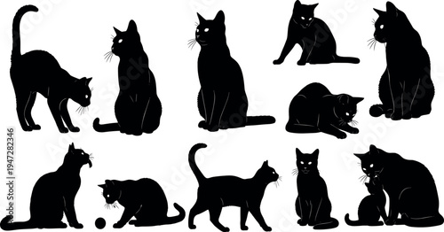  Silhouettes of cats in playful, sitting, standing and stretching poses, vector illustration showcasing feline behavior, decorative artwork for design and nature themes