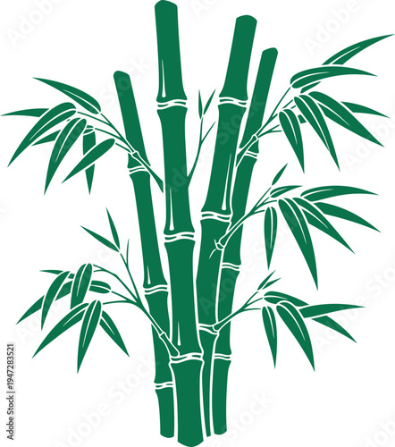 Bamboo plant with green stems and leaves