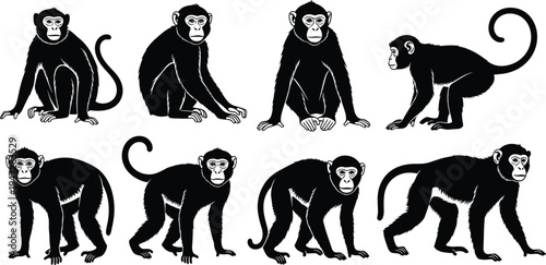 Monkey silhouette illustration with sitting, crouching, walking, standing poses, animal behavior design, wildlife art, nature vector collectionopy