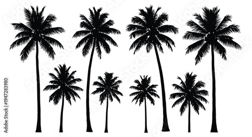 A group of black palm tree silhouettes against a clean white background, creating a simple yet striking tropical landscape image.