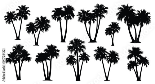 A collection of black silhouette palm trees on a white background, perfect for use in graphic design, illustration, and decoration with a tropical feel.