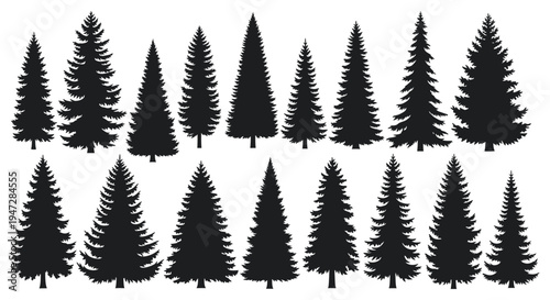 A collection of black pine tree silhouettes in various shapes and sizes on a clean white background, ideal for use in design projects, illustrations, and backgrounds.