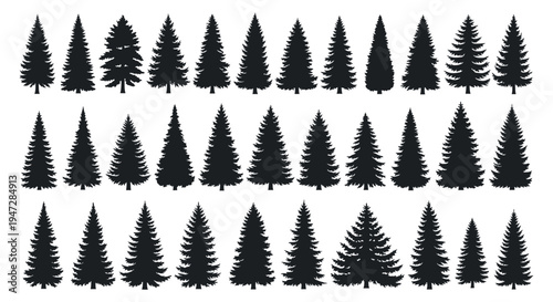 A collection of black pine tree silhouettes against a white background, featuring various shapes and sizes of trees, ideal for use in illustrations, designs, and backgrounds.