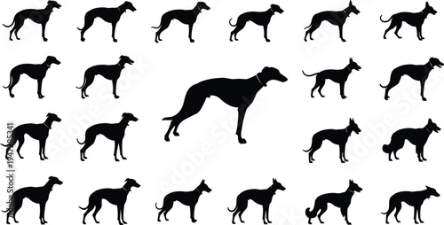 Dog silhouettes grid illustration, canine breed profile comparison vector art, domestic pet design concept, animal posture representation, visual hierarchy