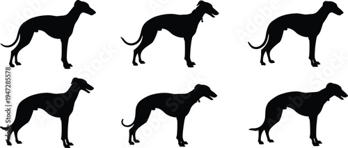 Dog silhouettes grid illustration, greyhound breed profile vector art, domestic pet design concept, animal comparison representation, canine study