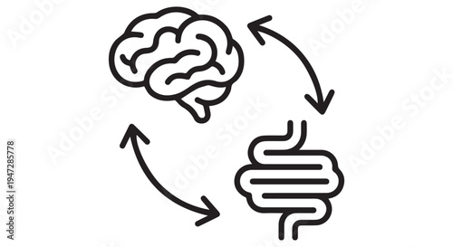 An illustration showing the connection between the brain and gut with arrows indicating their bidirectional communication.