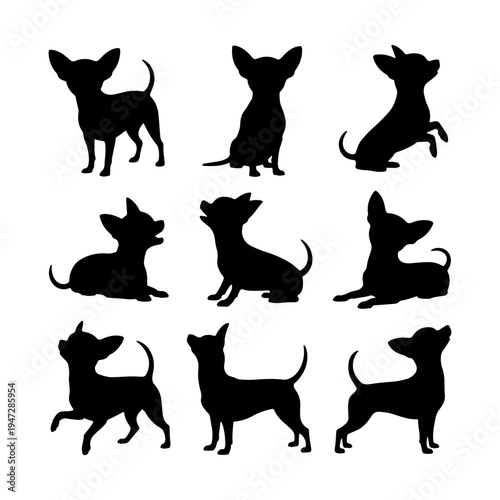 Various silhouettes of chihuahuas in playful and calm poses against a white background
