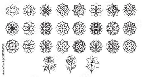 A collection of intricate black and white flower designs on a plain background