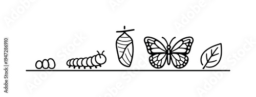Natural metamorphosis process in insects illustrating biological growth from early stage to mature pollinator and highlighting the balance of ecosystems and seasonal transformation in nature