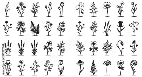 A collection of various black and white flower illustrations on a plain background