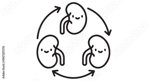 A simple illustration of kidneys exchanging places in a circular motion with smiling faces
