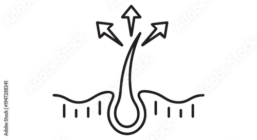 A simple line drawing of a hair follicle with arrows pointing upwards from the scalp