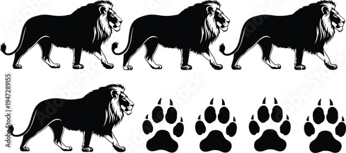 Lion silhouettes with paw prints, walking animal artwork, wildlife black white design, predator mammal illustration, stylized nature figure set