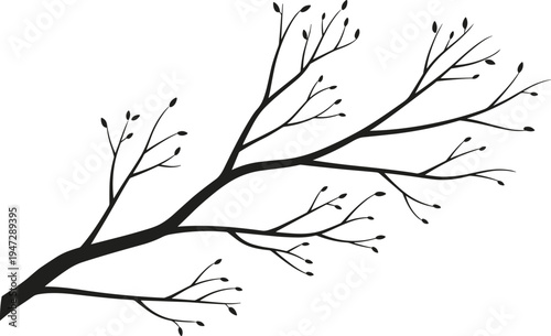 Vector illustration of silhouetted tree branch with buds symbolizing growth, nature, identity, diversity, culture, tradition, inclusivity, heritage, and education