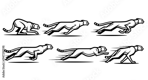 Black and white cheetah running sequence.