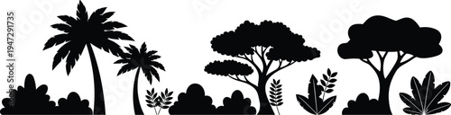 Silhouette of tropical and subtropical plants, palm trees, dense canopy vegetation, jungle forest biodiversity, ecology, botany, environmental landscape illustration