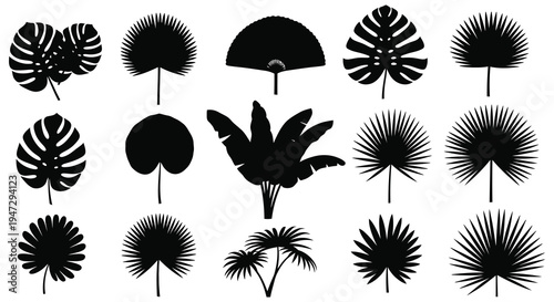 A collection of tropical leaves in black showcasing various shapes and sizes presented as a striking silhouette high quality professional detailed
