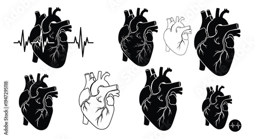 A collection of anatomical heart illustrations with varying styles including a flat heartbeat line and a striking silhouette high quality professional
