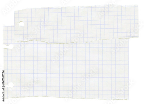 Bilde på lerret Checkered graph line torn ripped paper