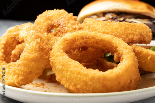Crispy fried onion rings appetizer on plate