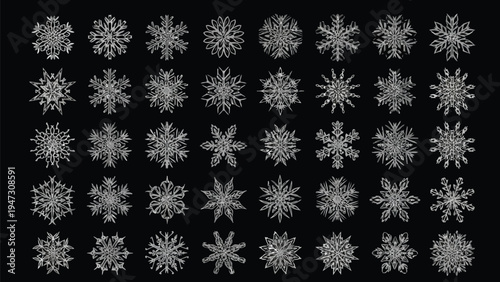 Intricate geometric patterns resembling snowflakes in monochromatic design Vector
