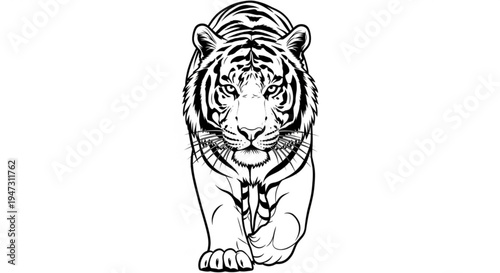 A black and white vector illustration of a tiger crouching down