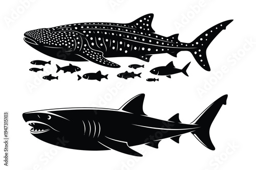 Whale shark and shark with small fish, underwater, black and white