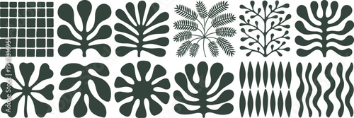 Dark green abstract organic shapes and patterns on white background graphic