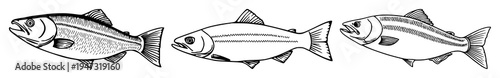 Salmon fish set with continuous line art drawing featuring minimalist, linear, modern with animal and nature