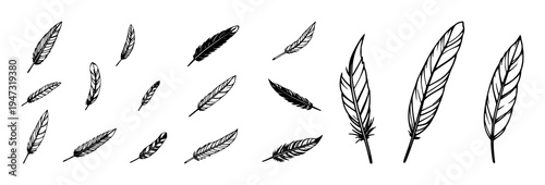 Feather icon set with simple black vector minimalist silhouettes featuring feather, icon, vector with design and graphics