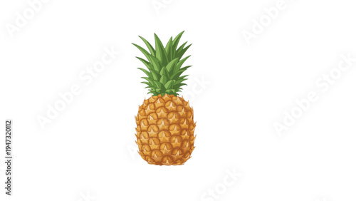 pineapple on white background