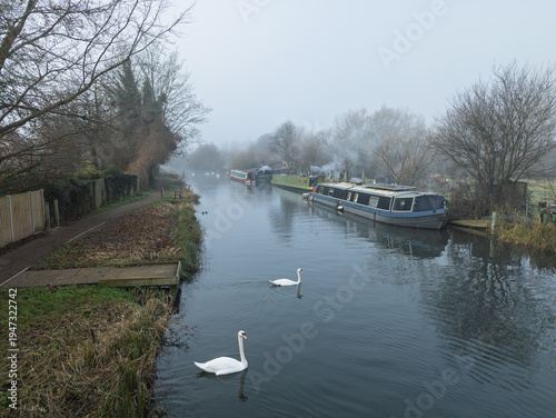 Two swans on the Kennet and Avon Canal in winter, Newbury, West Berkshire, England, UK