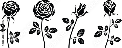 Black rose flower silhouette vector set with elegant stems and leaves isolated on white background for wedding and valentine design