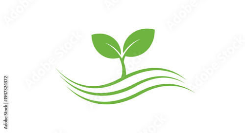 Green plant sprout with leaves growing.