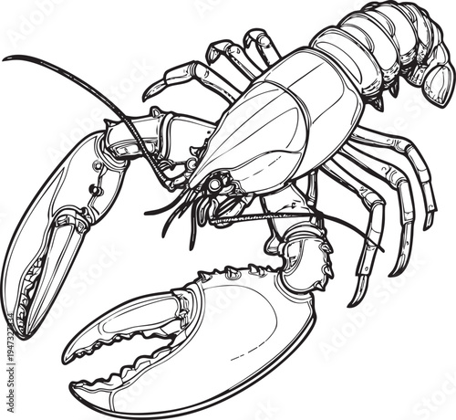 detailed black and white outline drawing of a fresh lobster claw, ideal for seafood restaurant and gourmet themes