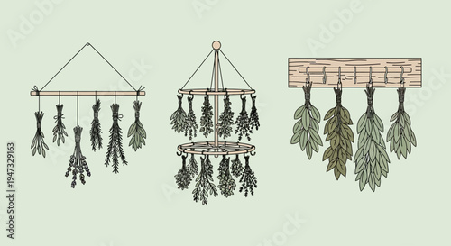 Illustration of three different styles of hanging dried herbs for natural decoration or culinary use.