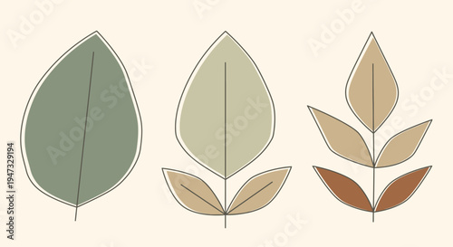 Set of three minimalist abstract leaves in muted earthy tones.