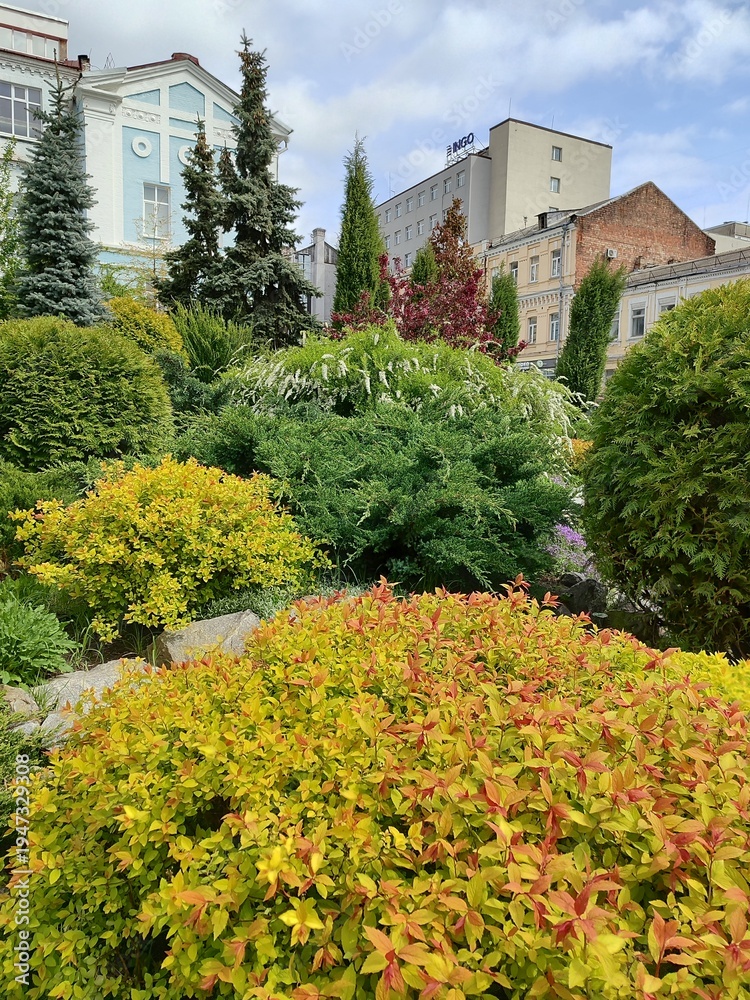 Obraz premium Beautiful landscape design in city park with colorful ornamental bushes, manicured trees and urban architecture
