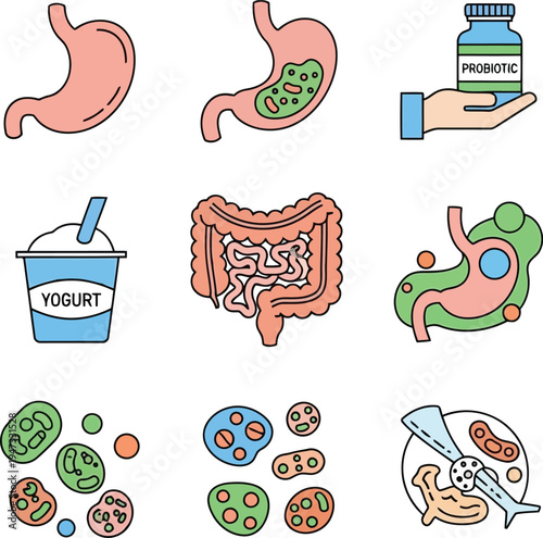 Digestive system and gut health concept with stomachs, intestines, probiotic supplement, yogurt, and microorganisms on isolated for medical and nutrition designs vector