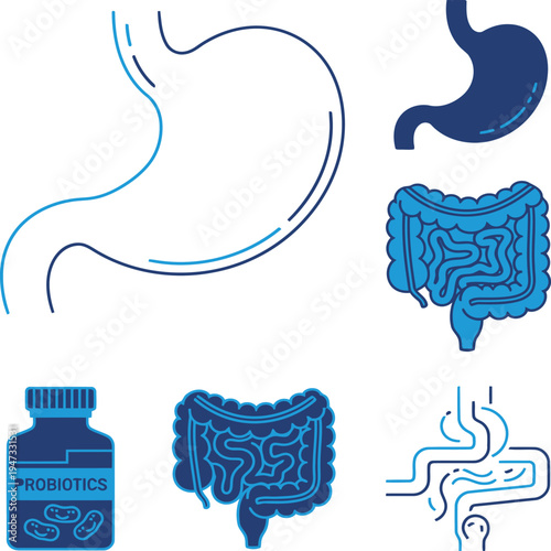 A collection of blue icons depicting various parts of the human digestive system including the stomach, intestines, and a bottle of probiotics supplements vector
