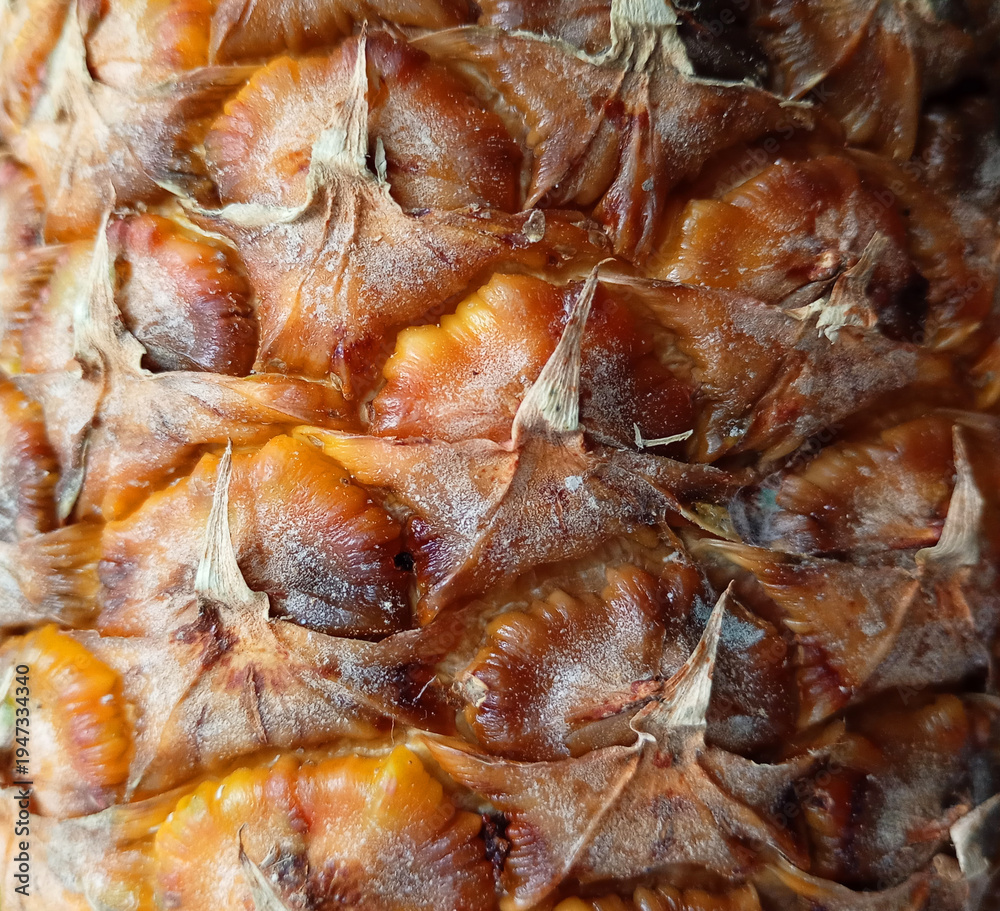 Fototapeta premium Pineapple skin texture close-up