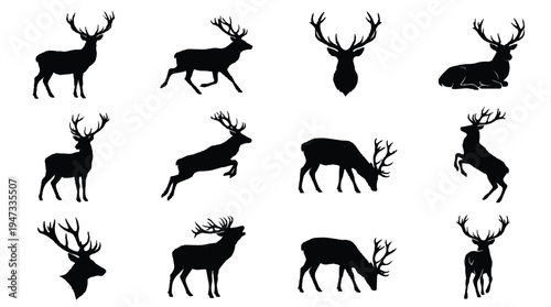 Collection of deer silhouettes in various poses and actions.
