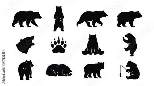 Collection of various bear silhouettes in different poses and actions.
