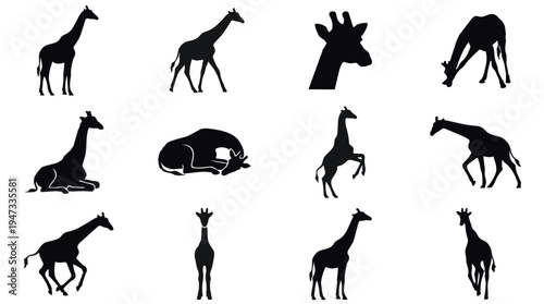 Collection of various giraffe silhouettes in different poses and actions.