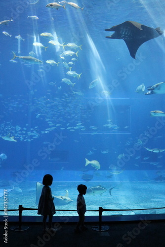沖縄美ら海水族館、沖縄県