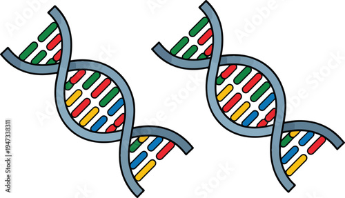 Colorful DNA double helix illustration with rainbow strands in cartoon scientific style, two genetic spirals on white background